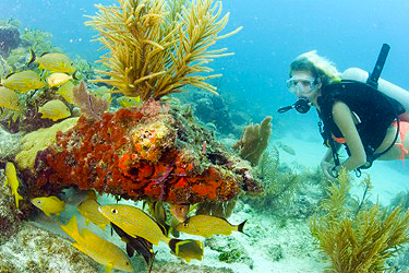 florida keys